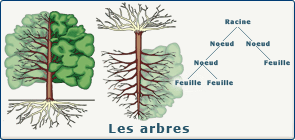 Arbre informatique Arbre informatique