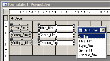 Formulaire Access - Les champs de la table