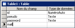 Champs de la table Access