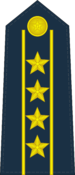 Grade: Colonel principal