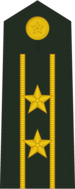 Grade: Lieutenant-colonel