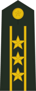 Grade: Colonel