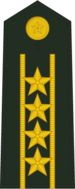 Grade: Colonel principal