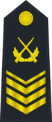 Grade: Command master chief petty officer