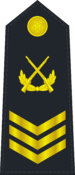 Grade: Master chief petty officer