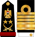 Grade: Général d'armée Grade: Général d'armée
