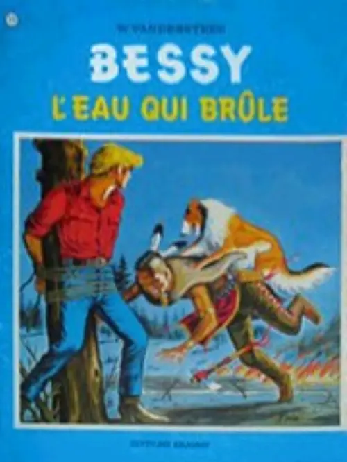 Consulter les informations sur la BD L'eau qui brûle