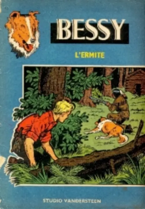 Couverture de l'album L'ermite