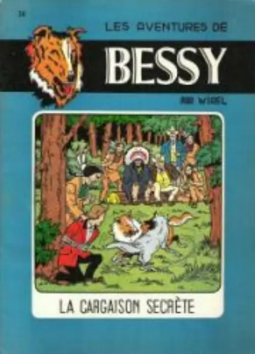Consulter les informations sur la BD La cargaison secrète