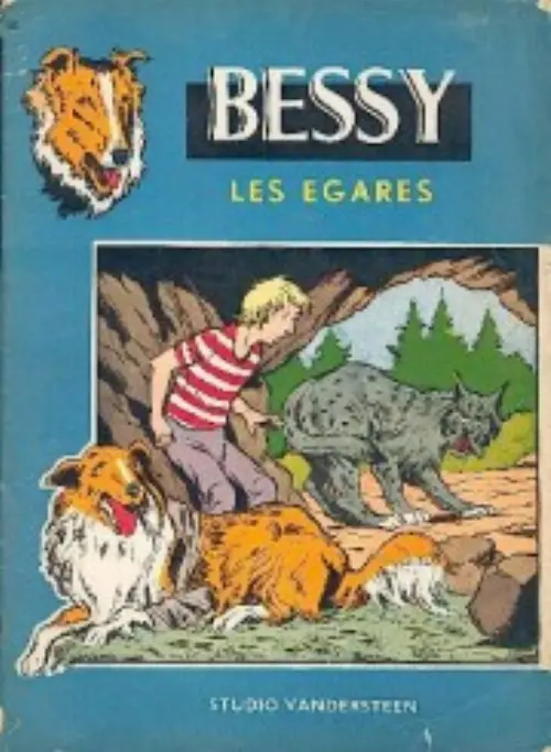 Consulter les informations sur la BD Les égarés