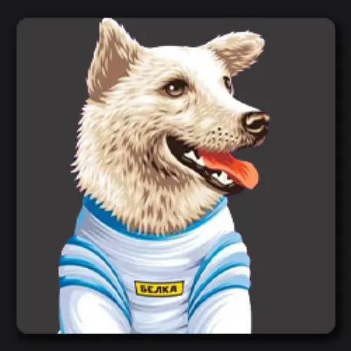Belka Belka