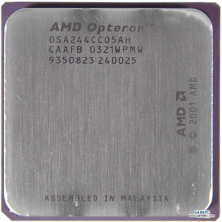 Opteron 244 troy