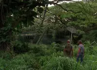 Black Rock dans la jungle (plan éloigné)
