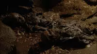 House of the Rising Sun (episode: 1x06) Squelettes de Mère et du frère de Jacob