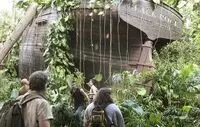 Black Rock dans la jungle