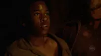 2x22 ACaptiveWalt
