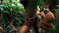 …And Found (episode: 2x05) 2X05-TheOthers