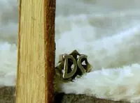 Greatest Hits (episode: 3x21) Ring