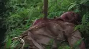 …And Found (episode: 2x05) Corps de Goodwin