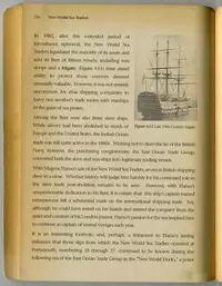 New World Sea Traders