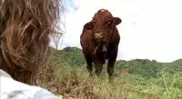 Confirmed Dead (episode: 4x02) Franks Cow