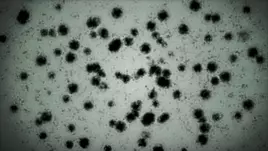 Degeneration - t-Virus under microscope