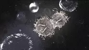 Fusion de virus 2