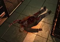 Dario mort