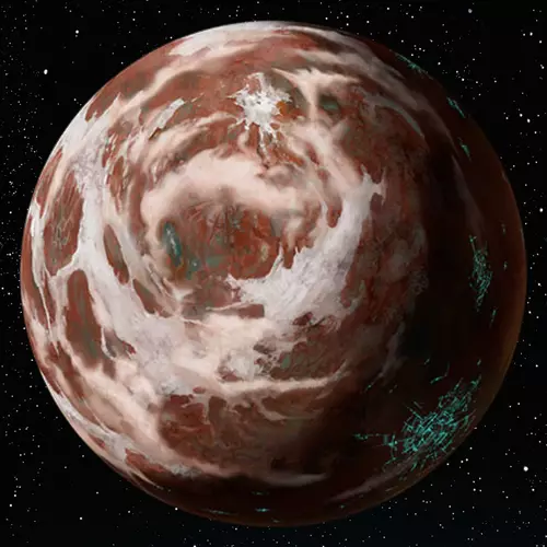 Pantora
