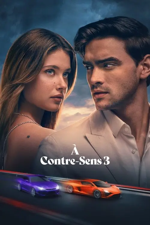 Consulter les informations sur le film À contre-sens 3