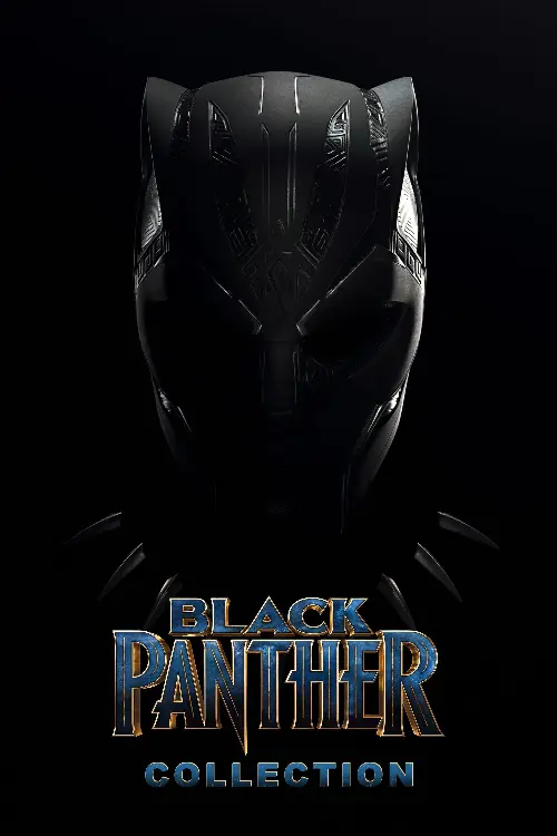 Couverture de l'album Black Panther - Saga