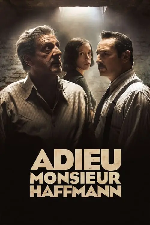 Consulter les informations sur le film Adieu Monsieur Haffmann