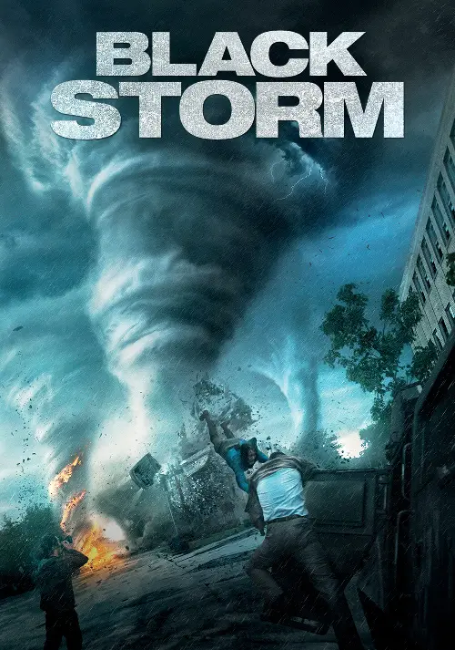 Consulter les informations sur le film Black Storm