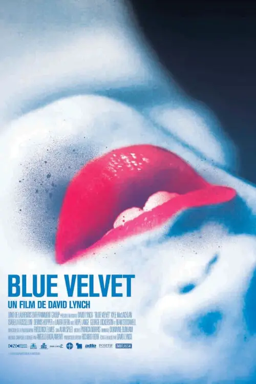 Consulter les informations sur le film Blue Velvet