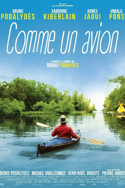 Consulter les informations sur le film Comme un avion