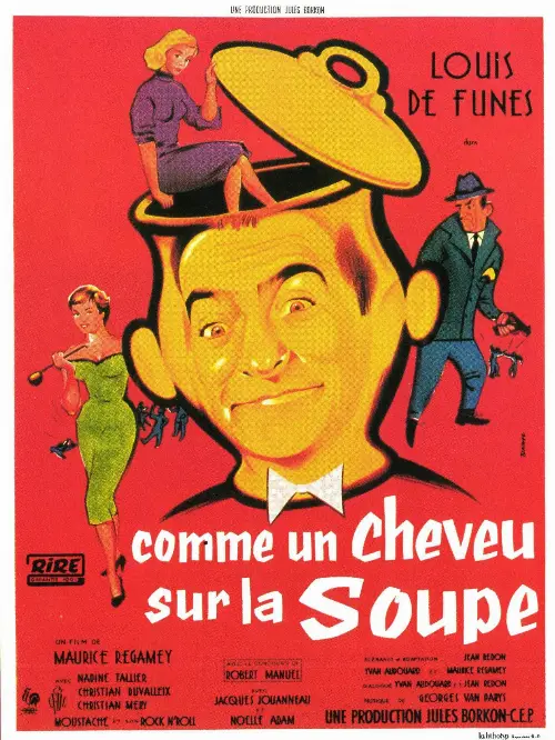 Consulter les informations sur le film Comme un cheveu sur la soupe