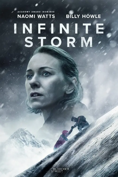 Consulter les informations sur le film Infinite Storm