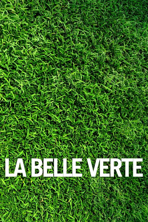 Consulter les informations sur le film La Belle verte