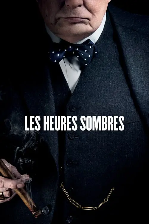 Consulter les informations sur le film Les Heures sombres