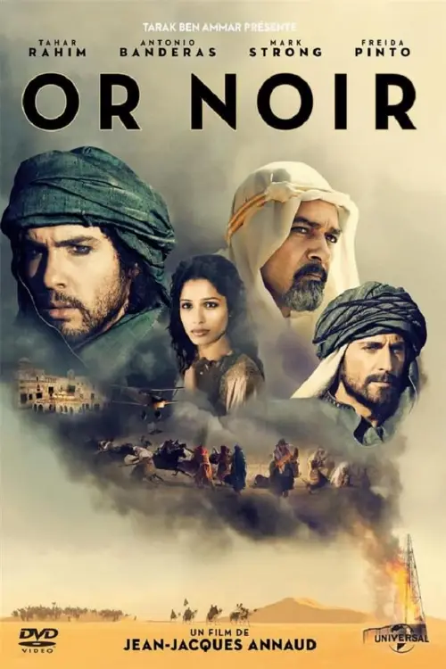 Consulter les informations sur le film Or Noir