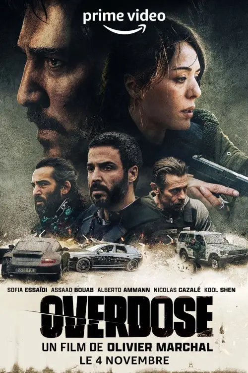 Consulter les informations sur le film Overdose