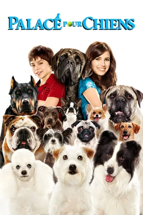 Consulter les informations sur le film Palace pour chiens