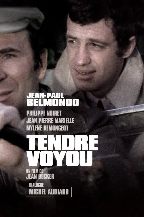 Consulter les informations sur le film Tendre voyou