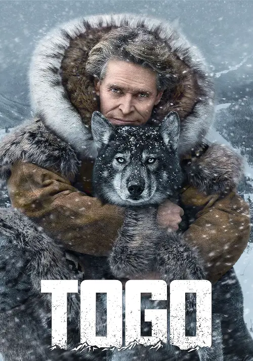 Consulter les informations sur le film Togo