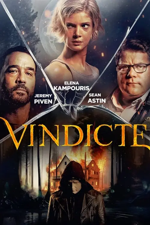 Consulter les informations sur le film Vindicte