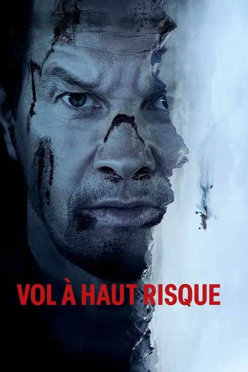 Consulter les informations sur le film Vol à haut risque