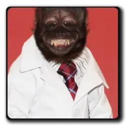 Toutes les infos sur Monkey Inconnu Monkey Inconnu(george-de-la-jungle-saga)