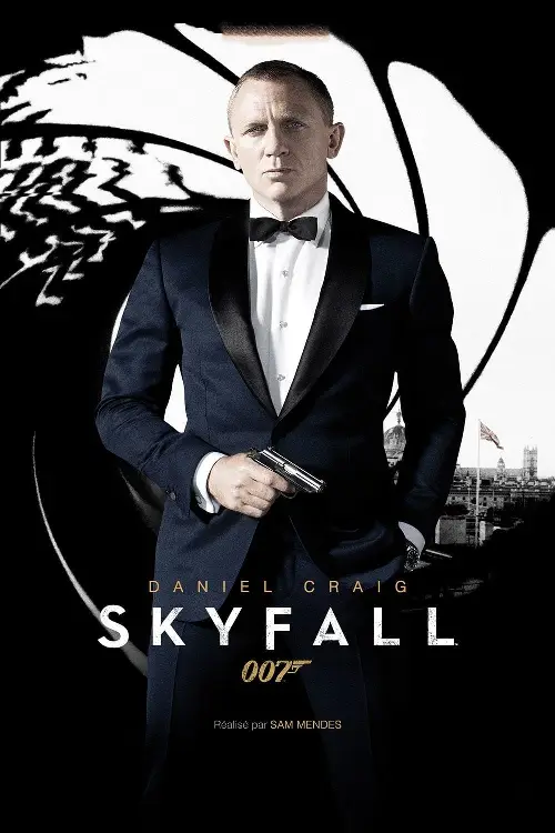 Couverture de l'album Skyfall Couverture de l'album Skyfall
