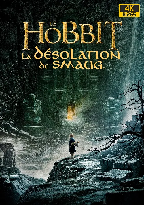 Consulter les informations sur le film Le Hobbit 2 - La Désolation de Smaug [4K Light]