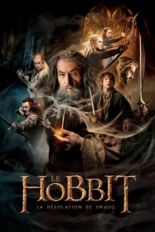Couverture de l'album Le Hobbit : La Désolation de Smaug Couverture de l'album Le Hobbit : La Désolation de Smaug